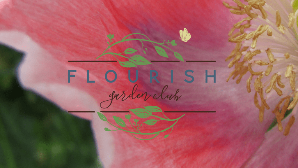 10 Easy Seeds to Sow in May 13 0Na2SY1TQ0qXhaym0fCM flourish letterhead