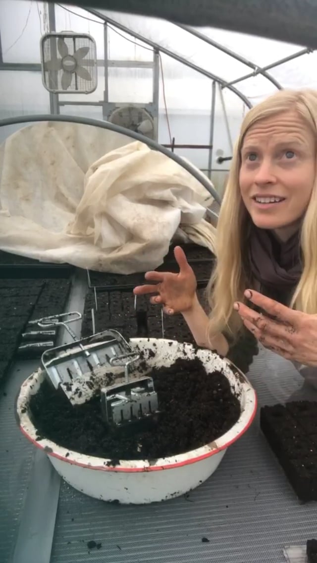 Early April Soil Blocking Seed Starting Fruition Seeds Early April Soil Blocking Seed Starting Fruition Seeds