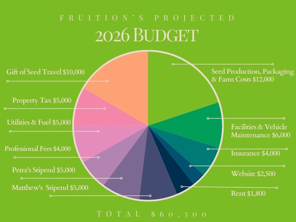 2026 budget