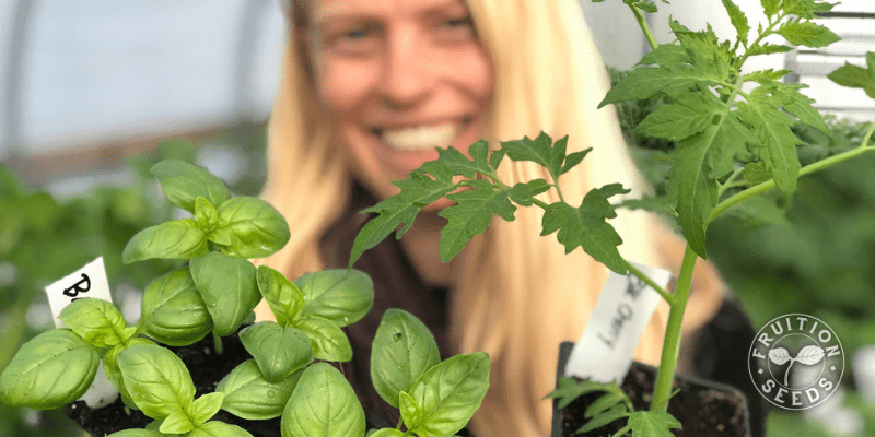 5 Tips for Gorgeous Transplants 4