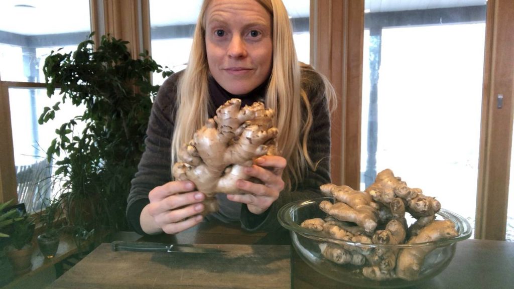 How to Cut Your Own Seed Ginger Fruition Seeds