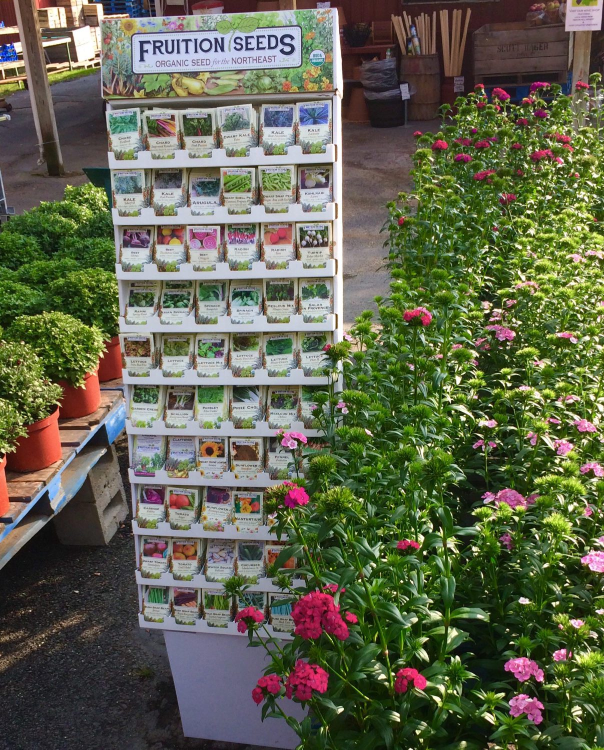 Retail Program 3 60 seed rack 2