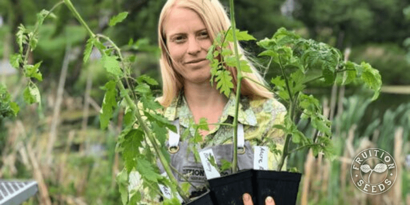 7 Steps for Gorgeous Tomato, Pepper & Eggplant Seedlings Plus Common Mistakes to Avoid 16