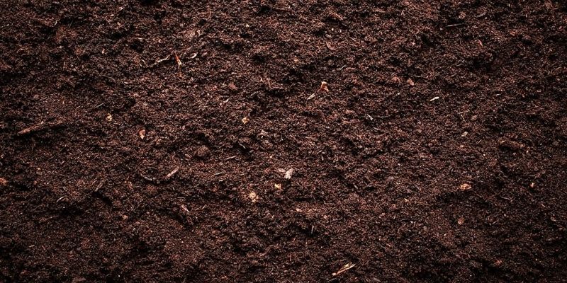 800 x 400 compost soil