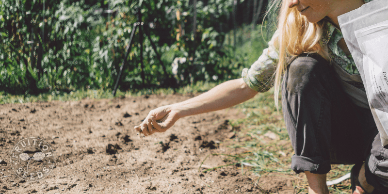 Soil Testing for Trees & Orchards 9 800 x 400 fertilizer 1
