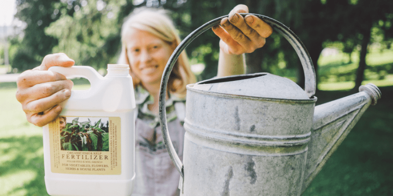 Soil Testing for Trees & Orchards 12 800 x 400 fish emulsion 4