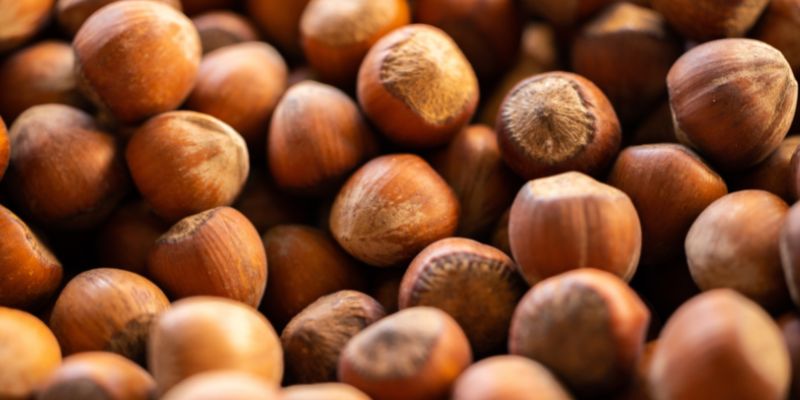 2023 Fruition's Fruit & Nut Tree Weekends at Garden Store! 22 800 x 400 hazelnut 1