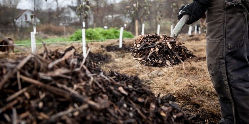 800 x 400 organic apple tree mulch