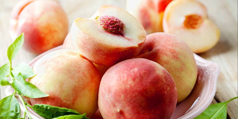 2023 Fruition's Fruit & Nut Tree Weekends at Garden Store! 25 800 x 400 peach 1