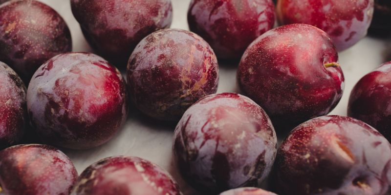 2023 Fruition's Fruit & Nut Tree Weekends at Garden Store! 28 800 x 400 plum 5
