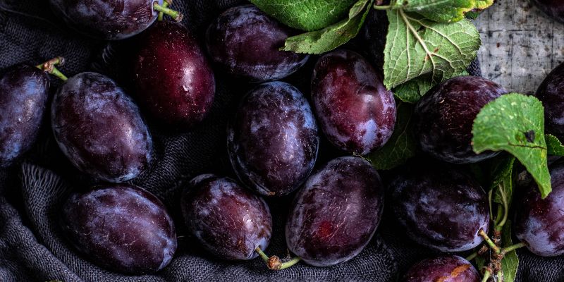 2023 Fruition's Fruit & Nut Tree Weekends at Garden Store! 23 800 x 400 plum 6