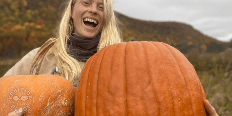 Savoring & Saving Pumpkin Seeds 6 800 x 400 pumpkin 1