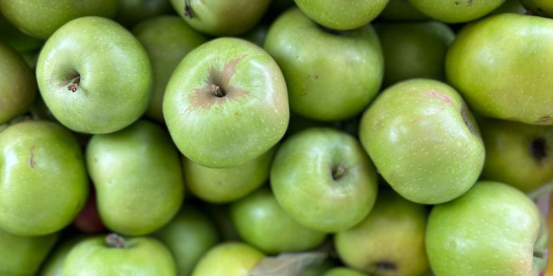 2023 Fruition's Fruit & Nut Tree Weekends at Garden Store! 15 800 x 400 rhode island greening