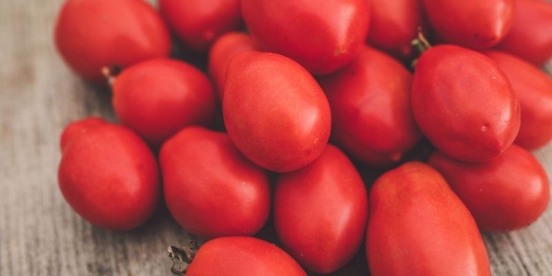 800 x 400 tomato 2