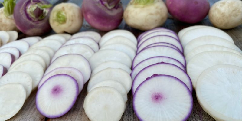 800 x 400 turnip 2