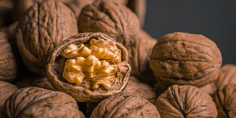 2023 Fruition's Fruit & Nut Tree Weekends at Garden Store! 10 800 x 400 walnut 1