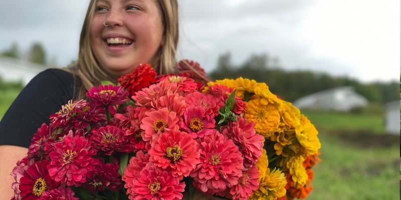 800 x 400 zinnia flower