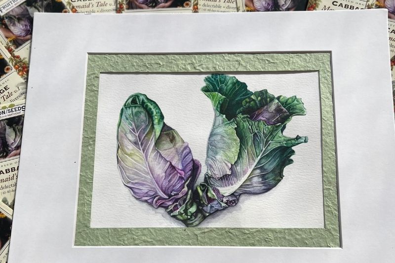 800 x 533 cabbage greens