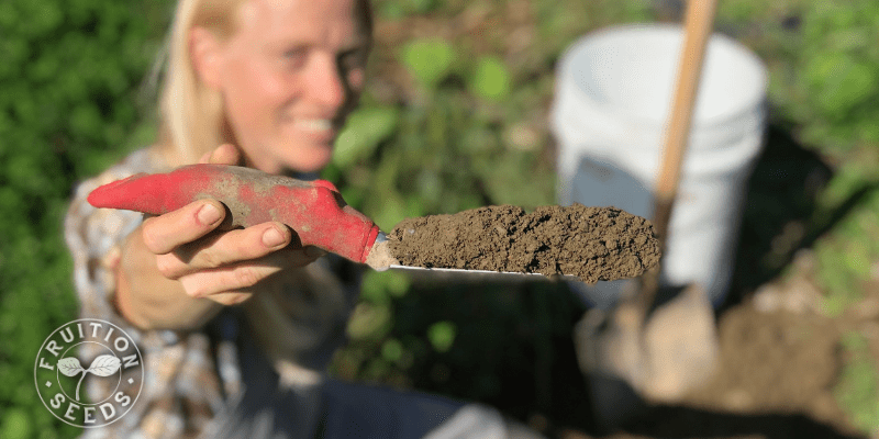 Soil Testing for Trees & Orchards 2