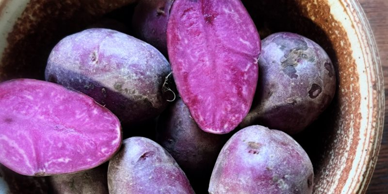 Baby red potato 800x400 1