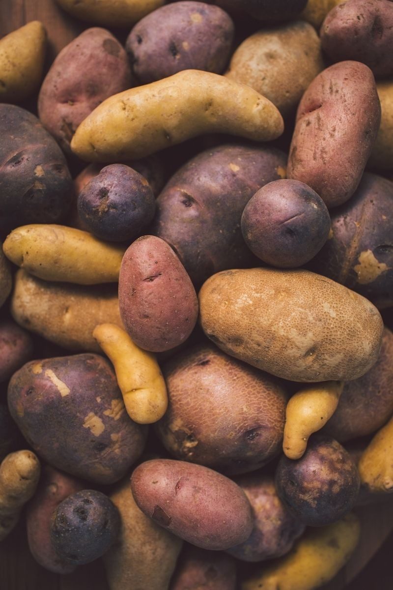 Sowing & Growing Series Potatoes Fruition Seeds