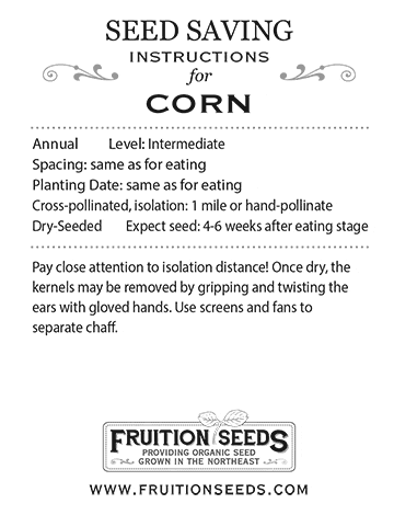 Thumbnail of Growing Guide for Corn Seedkeeping Guide