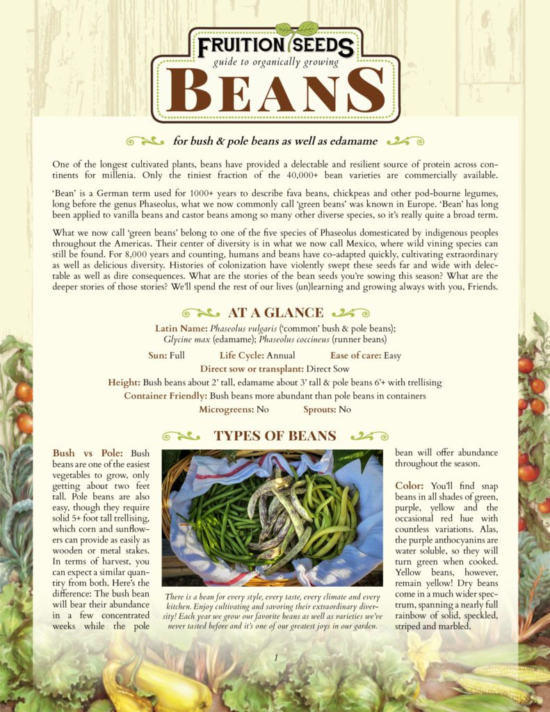 Thumbnail of Growing Guide for Bean Growing Guide