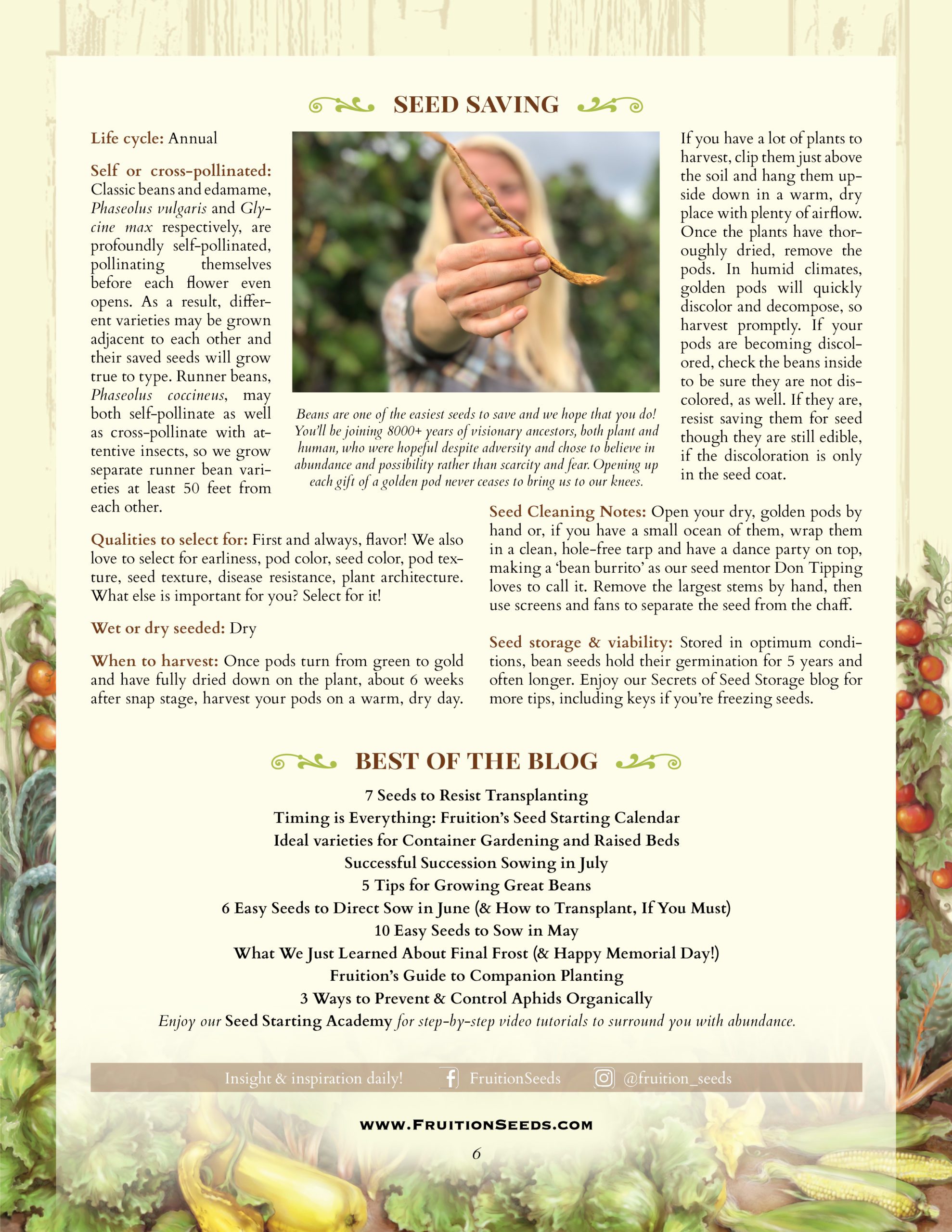 Growing Guide for Bean Seedkeeping