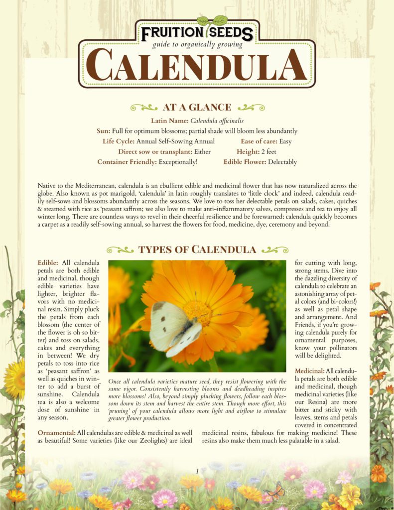 Thumbnail of Growing Guide for Calendula Growing Guide