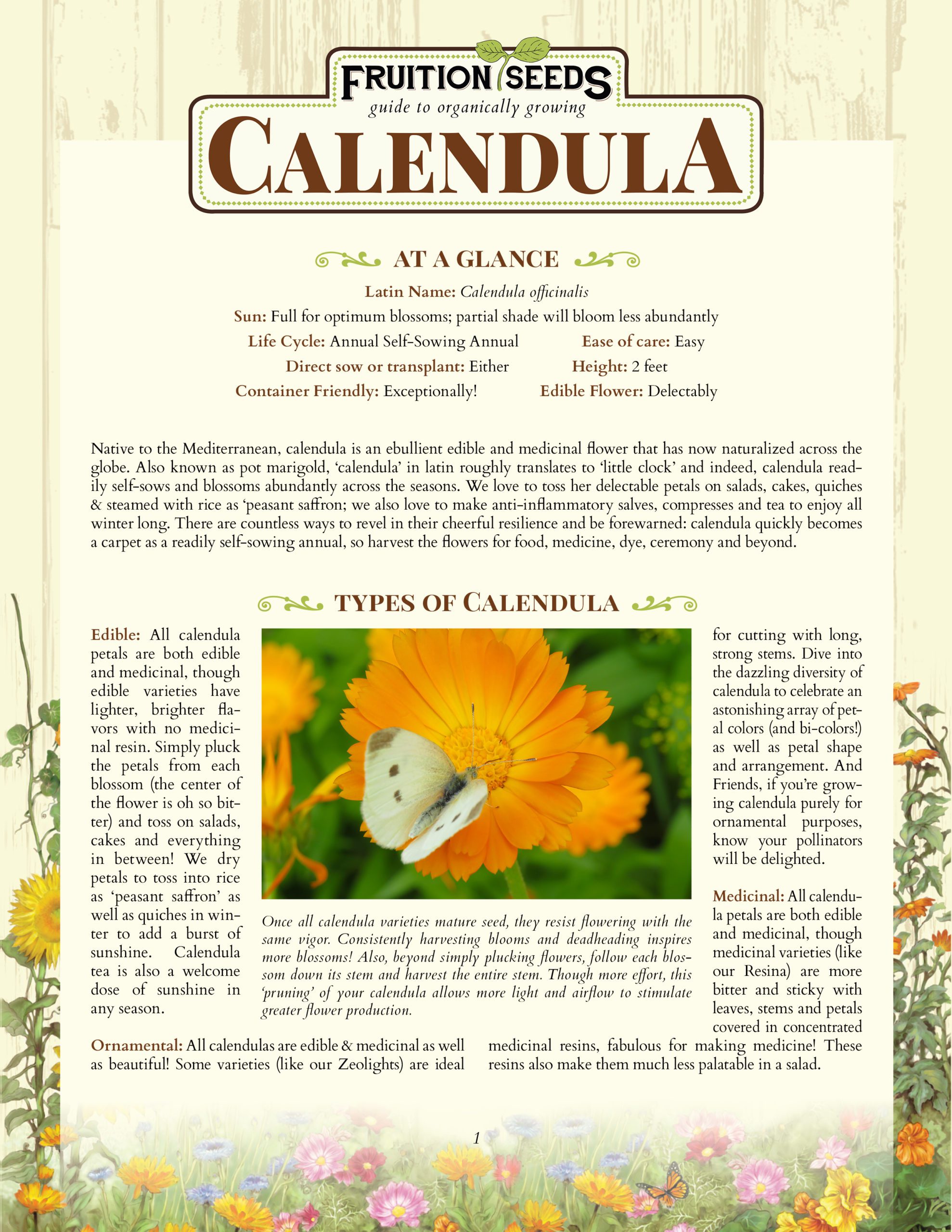 Thumbnail of Growing Guide for Calendula, Bioregional Herbalism Series