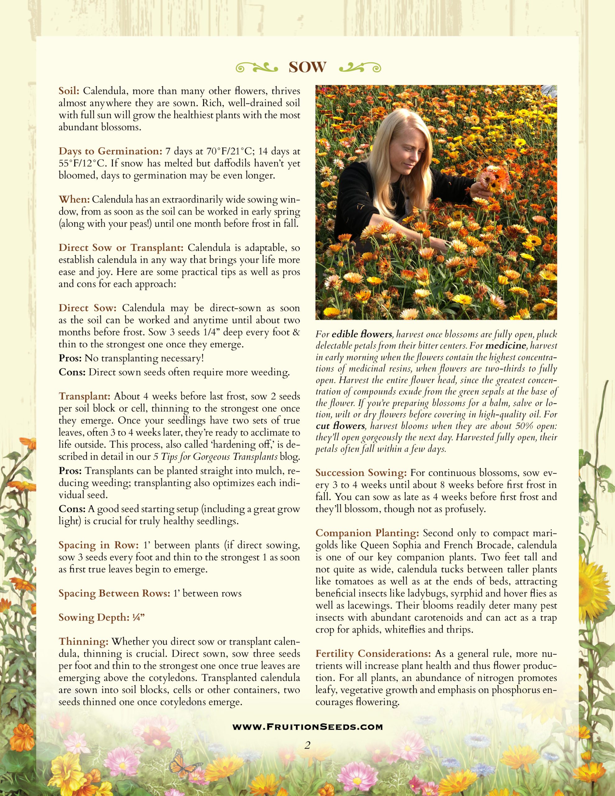 Thumbnail of Growing Guide for Calendula, Bioregional Herbalism Series