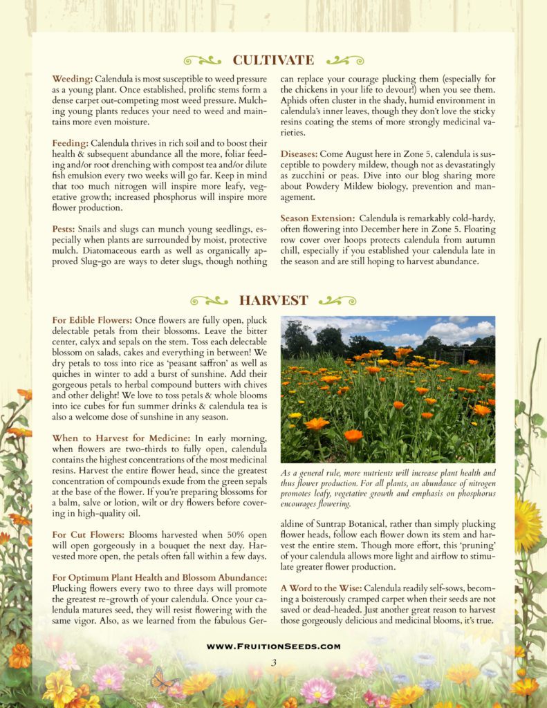 Thumbnail of Growing Guide for Calendula Growing Guide