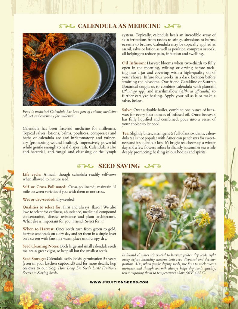 Thumbnail of Growing Guide for Calendula Growing Guide