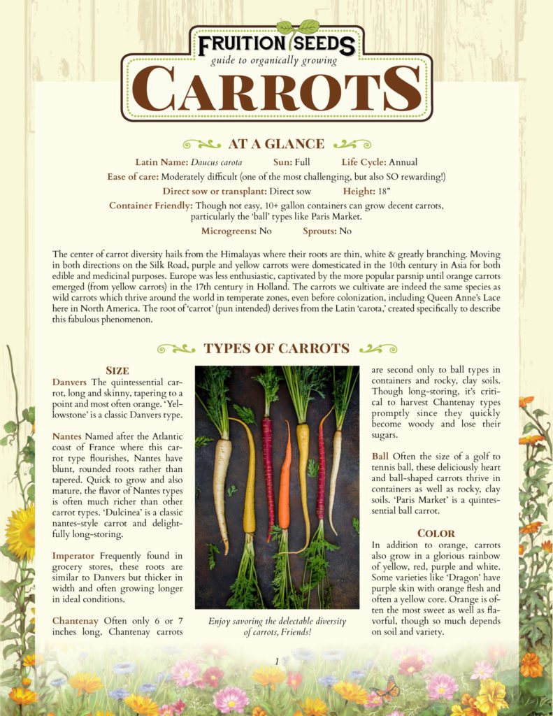 Thumbnail of Growing Guide for Carrot Growing Guide