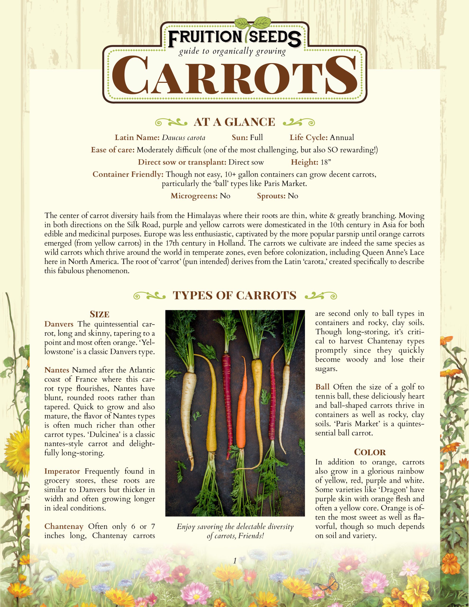 Growing Guide for Carrot Growing Guide
