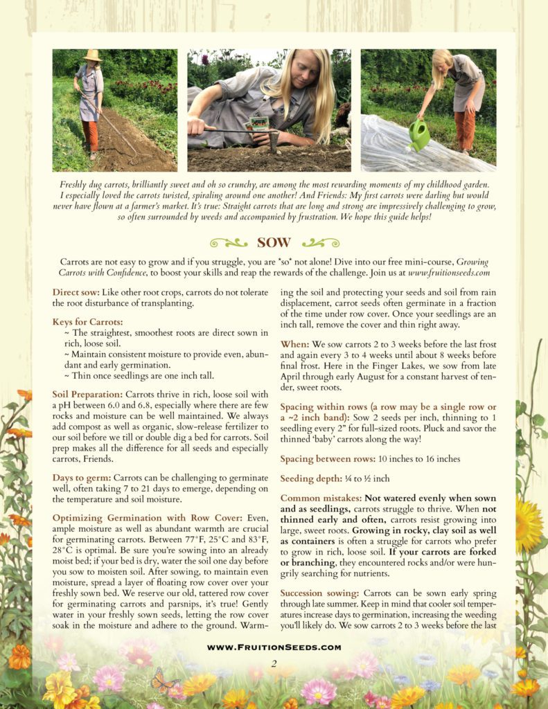 Thumbnail of Growing Guide for Carrot Growing Guide