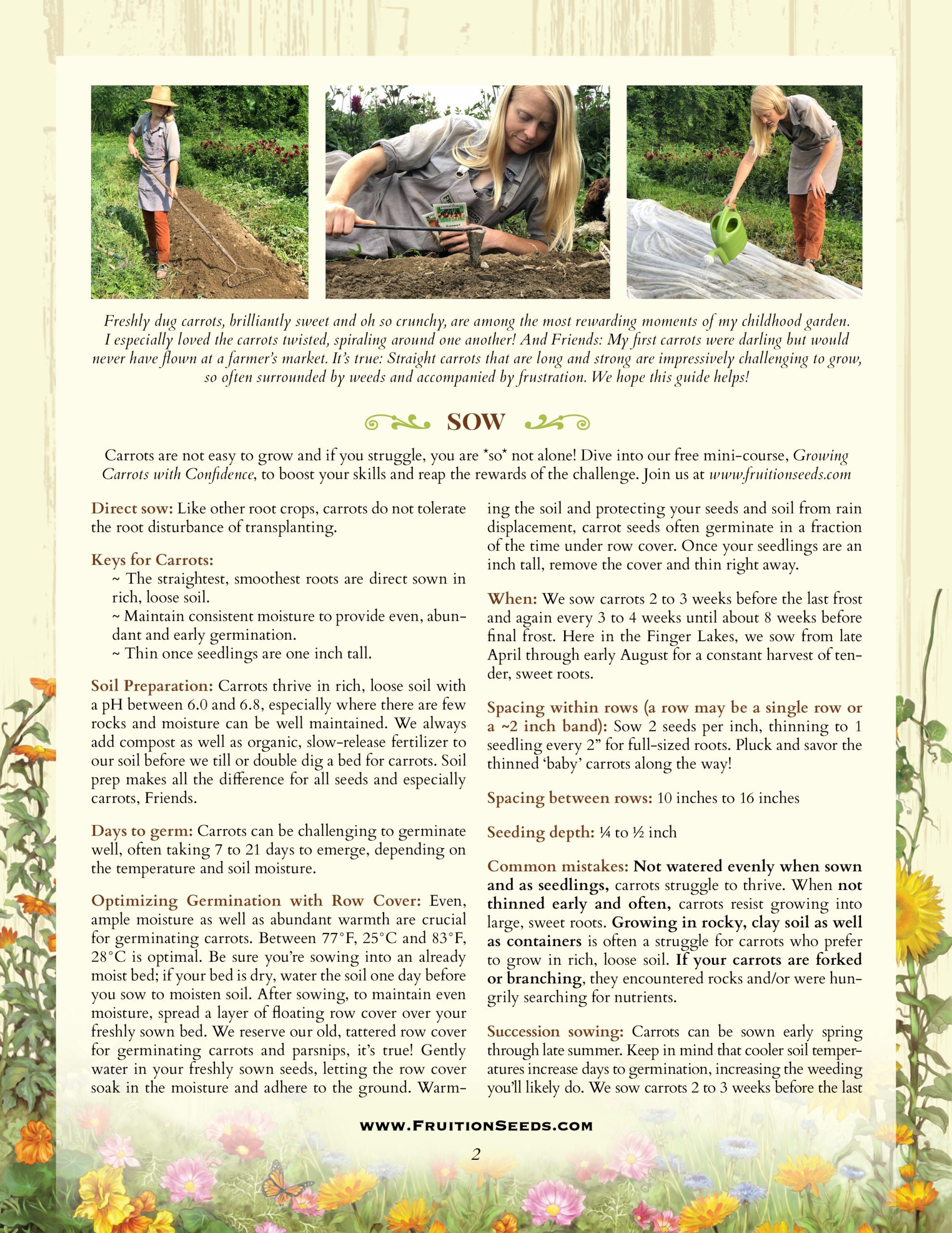 Growing Guide for Carrot Growing Guide