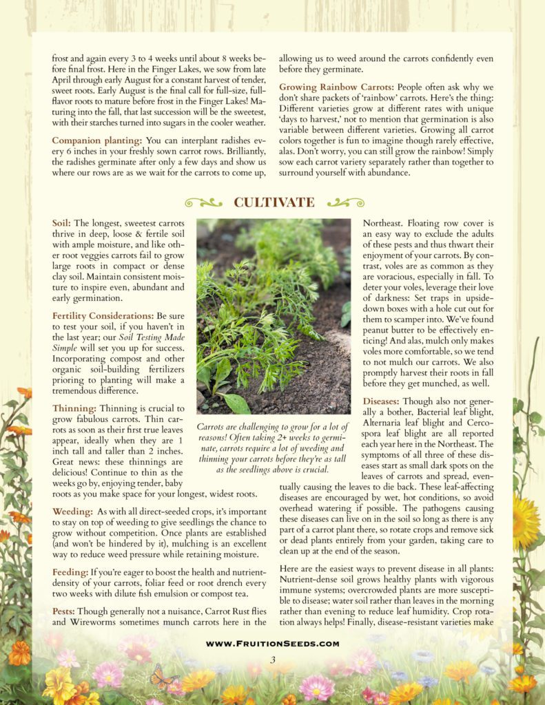 Thumbnail of Growing Guide for Carrot Growing Guide