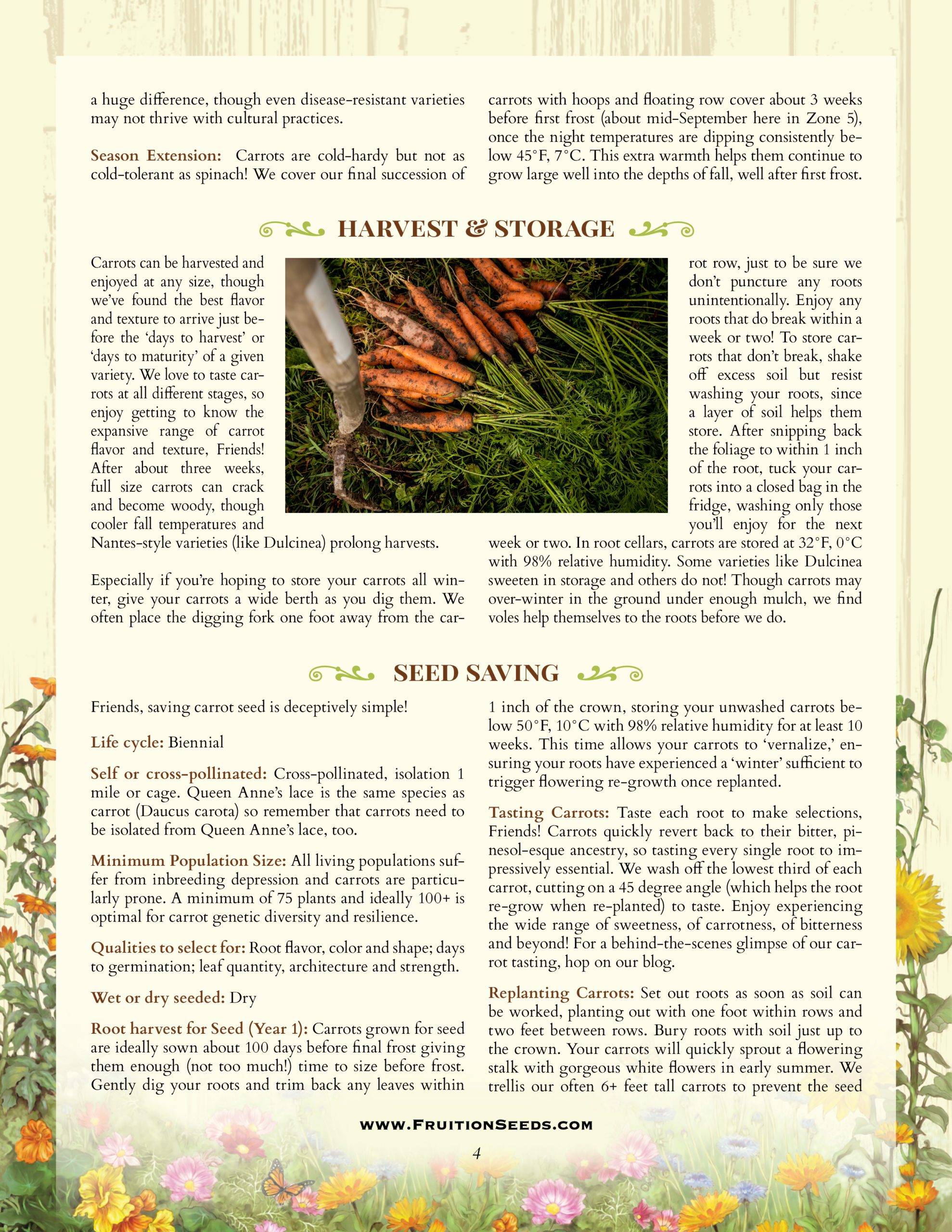 Thumbnail of Growing Guide for Sowing & Growing Series: Carrots