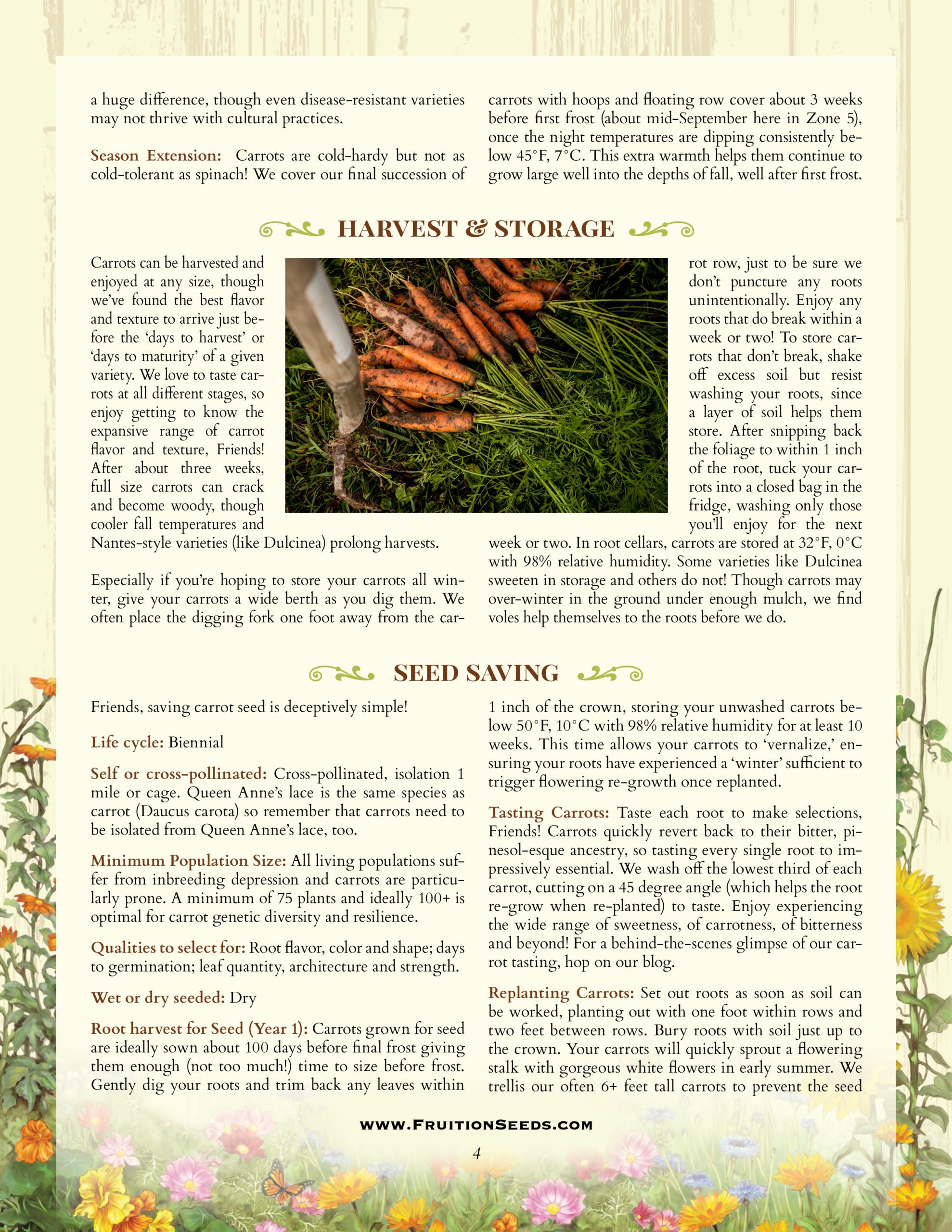 Growing Guide for Carrot Seedkeeping Guide