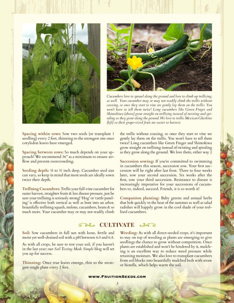 Thumbnail of Growing Guide for Cucumber Growing Guide