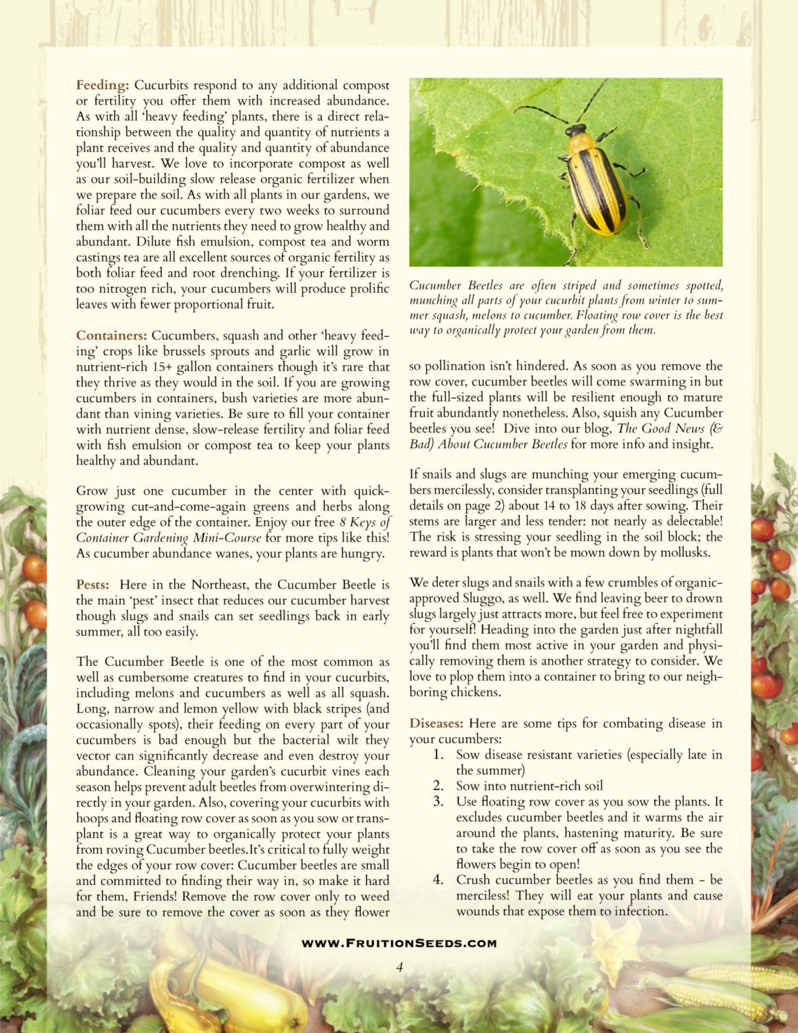 Growing Guide for Sowing & Growing Series: Cucumber