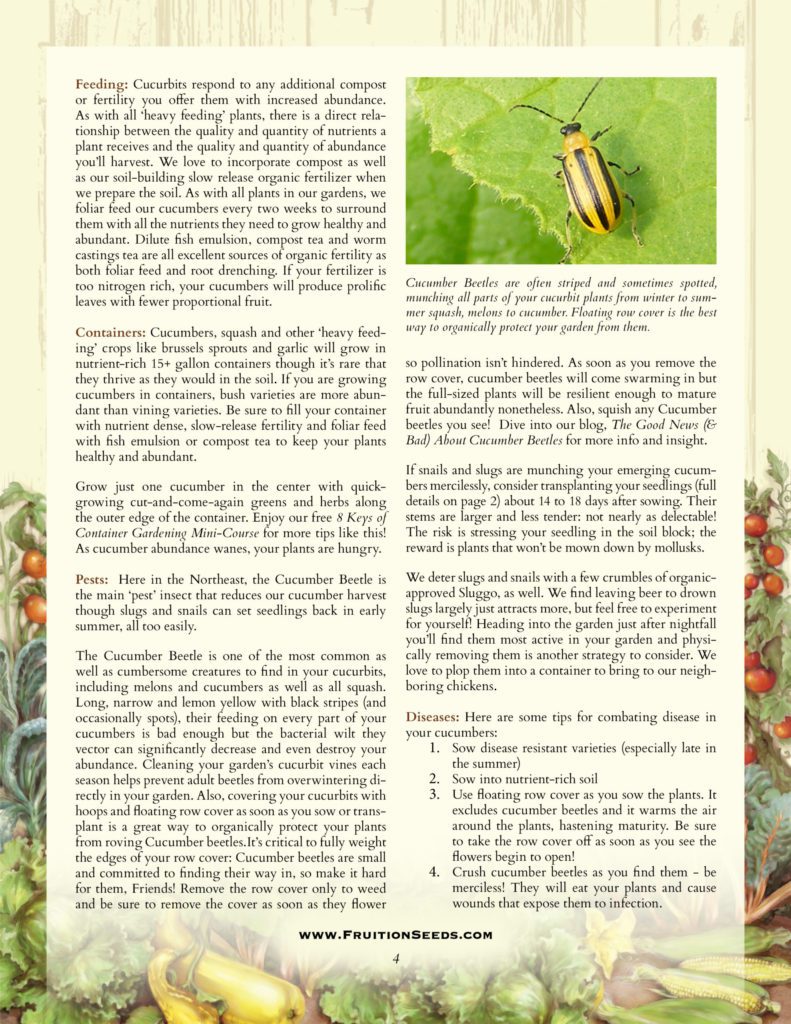 Thumbnail of Growing Guide for Cucumber Growing Guide