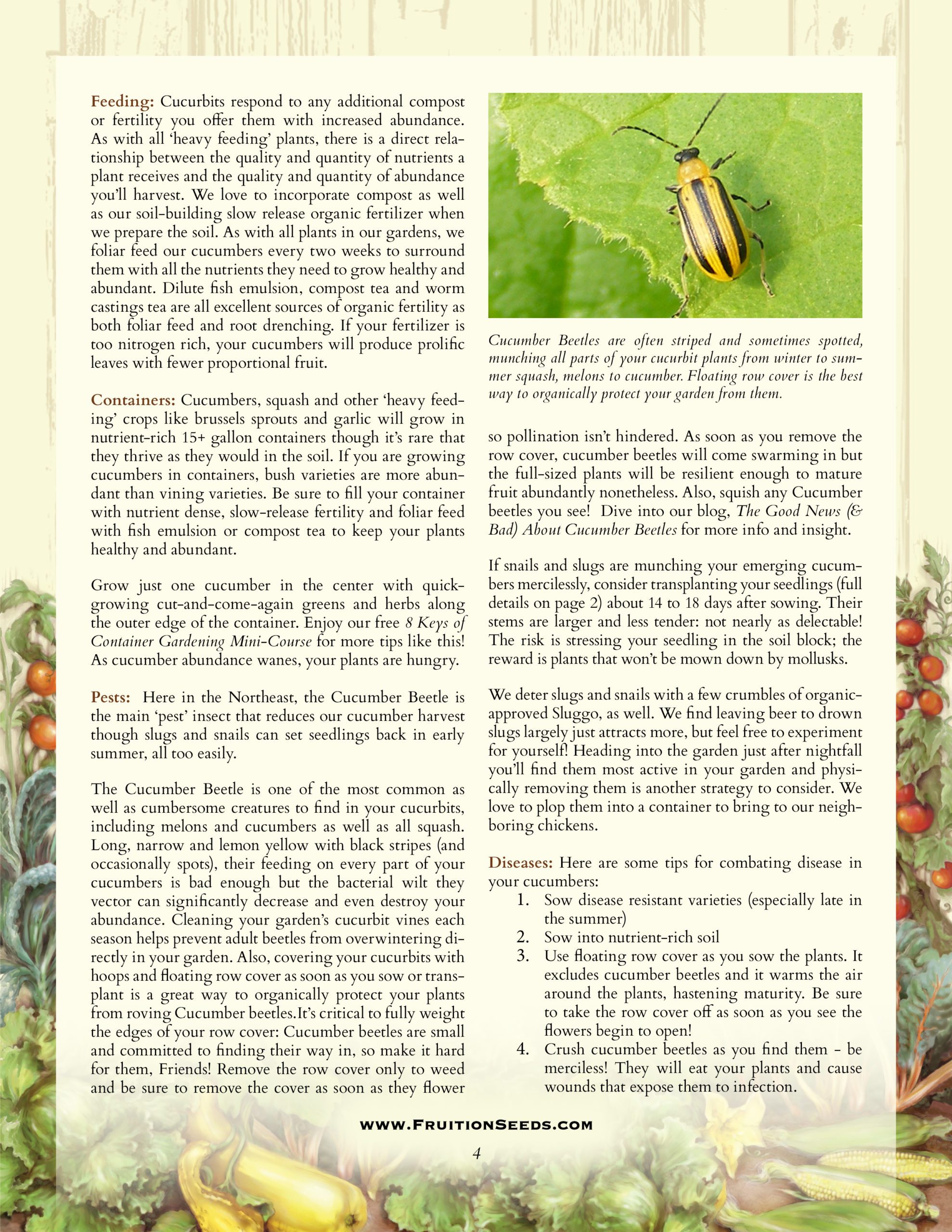 Growing Guide for Cucumber Growing Guide