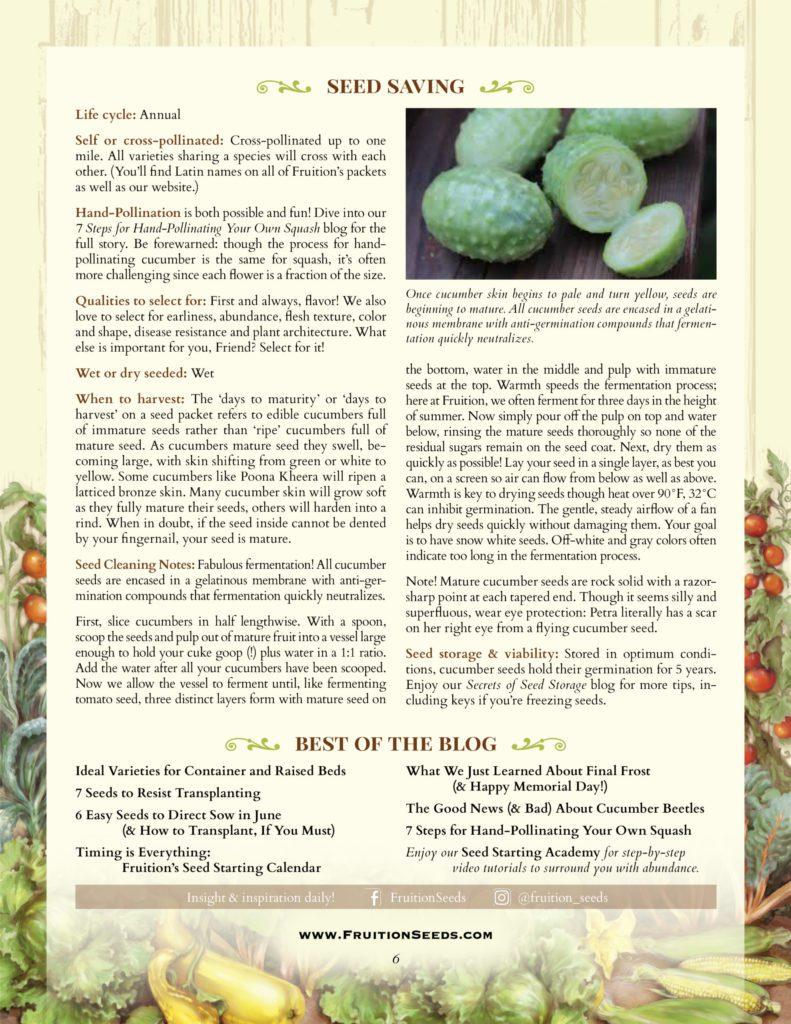 Thumbnail of Growing Guide for Cucumber Seedkeeping Guide