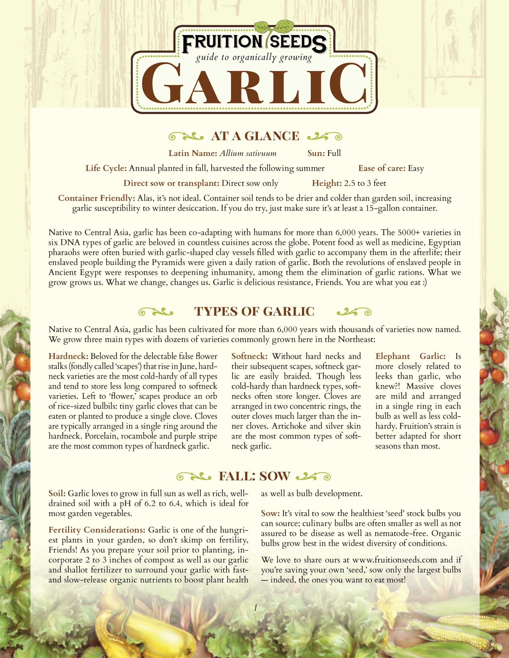 Growing Guide for Garlic Growing Guide