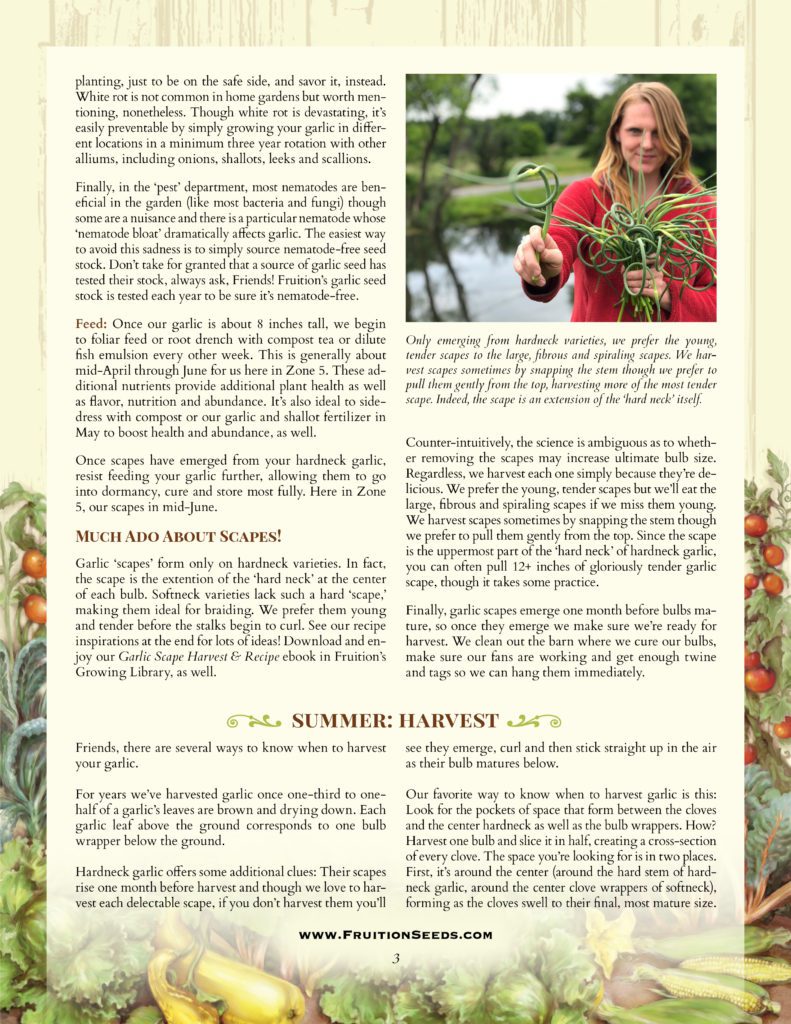 Thumbnail of Growing Guide for Garlic Growing Guide