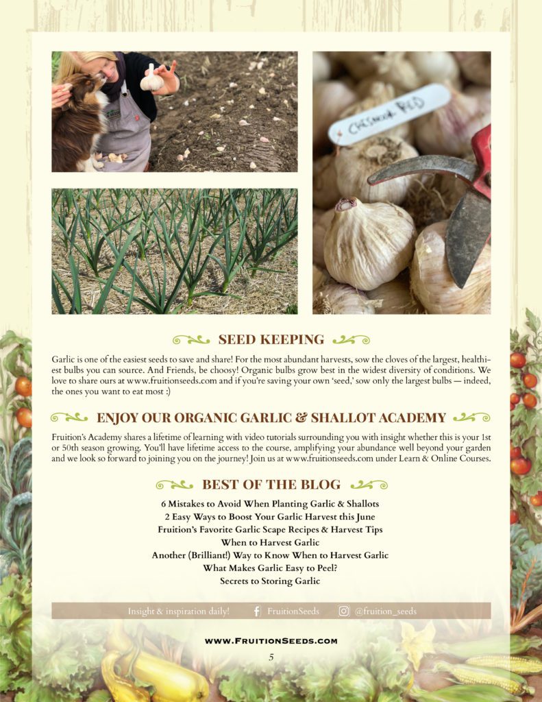 Thumbnail of Growing Guide for Garlic Seedkeeping Guide