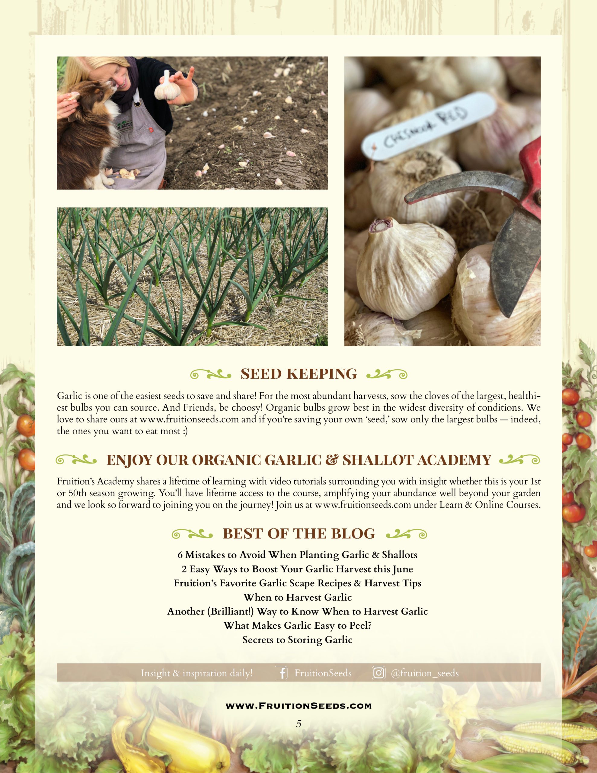 Growing Guide for Garlic Seedkeeping Guide