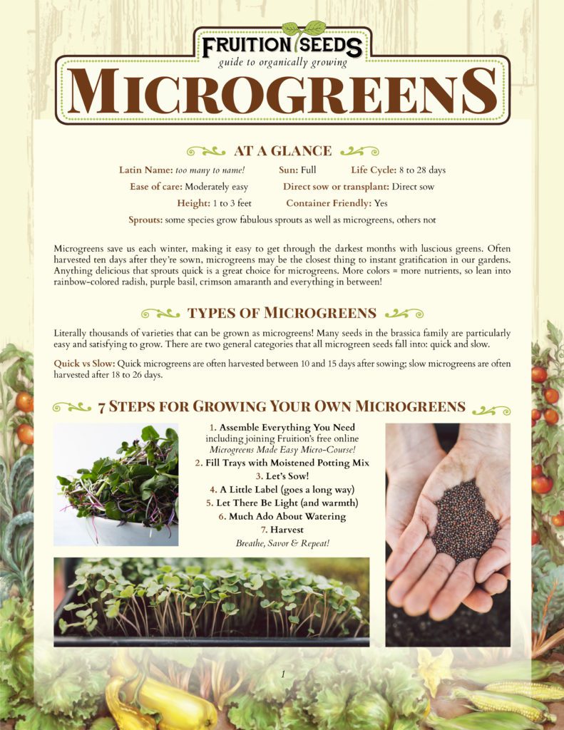 Thumbnail of Growing Guide for Microgreens Growing Guide